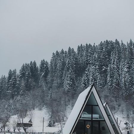 マイコリチン Mountains Hutヴィラ エクステリア 写真